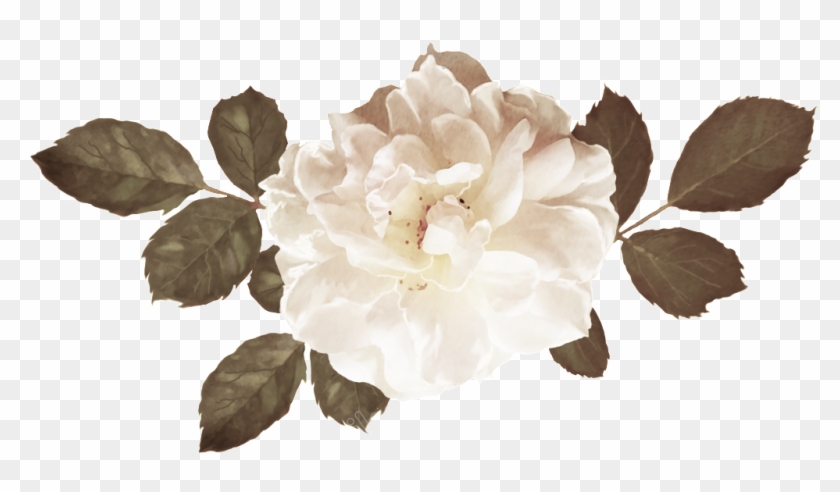 Bouquet Vector Spring - Garden Roses Clipart