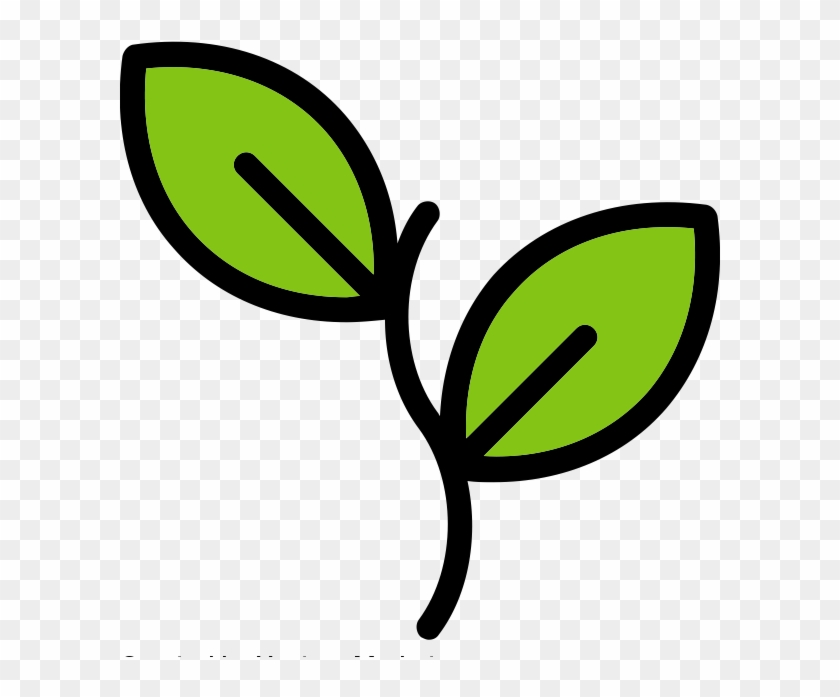 Sapling Level Startups , Png Download Clipart