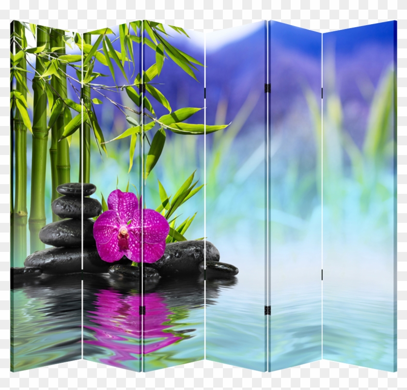 6 Panel Folding Screen Canvas Divider- Hot Stone & - Background Nature Bamboo Water Clipart #4271815