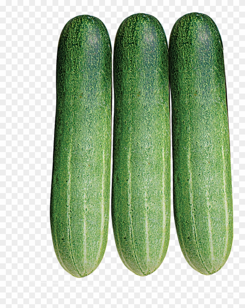 The Product Is Already In The Wishlist Browse Wishlist - Cucumber Clipart #4272908