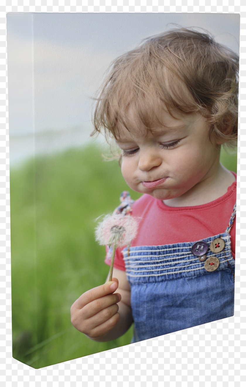 Options To Consider When You Make Photo Canvas Art - Toddler Clipart