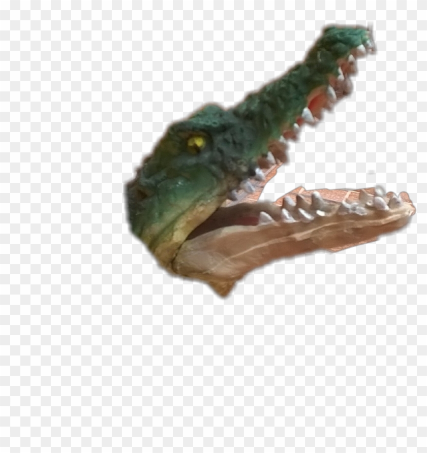 #cocodrilo - Saltwater Crocodile Clipart #4274870