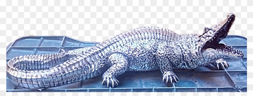 American Crocodile Clipart #4275118