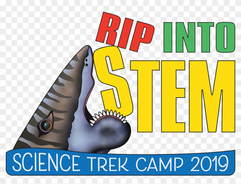 Rip Into Stem - Graphic Design Clipart #4276892