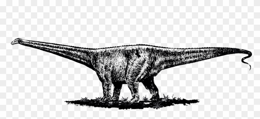 Una Conspiración Educativa - Tyrannosaurus Clipart #4277089