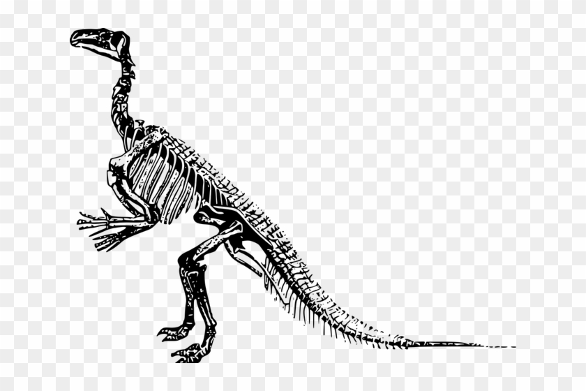 Cover Image - Dinosaur Skeleton Clipart Png Transparent Png #4277274