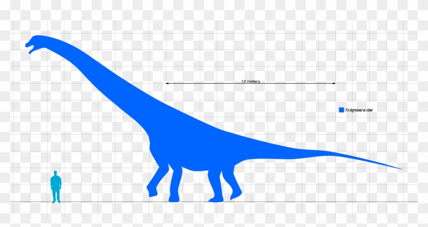 Size Comparison - Lesothosaurus Clipart #4277465