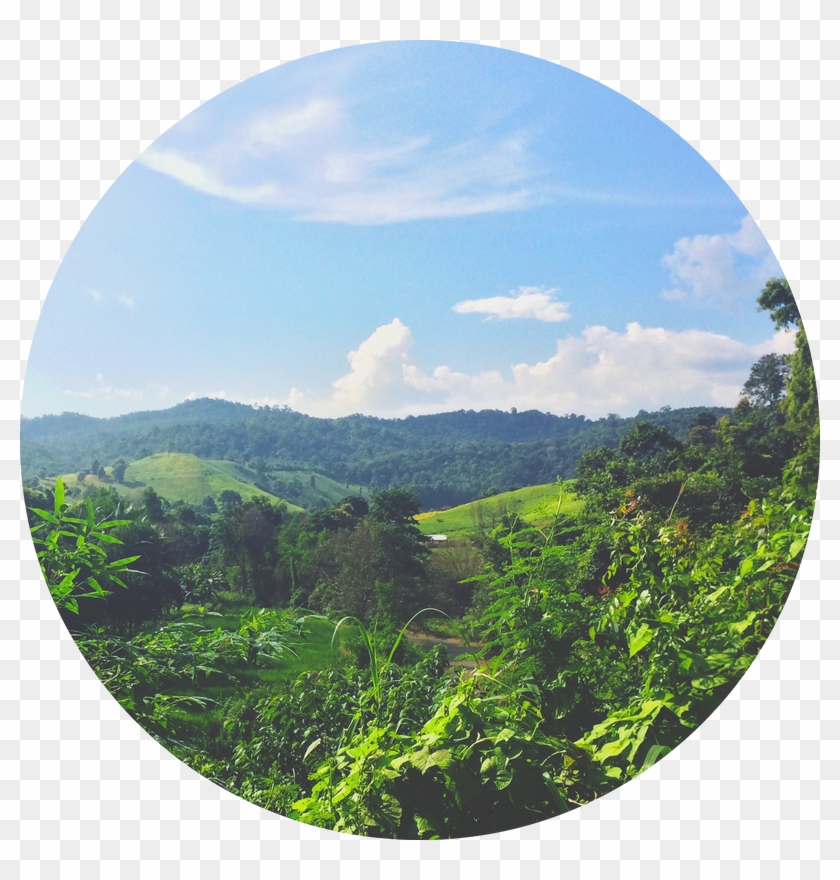 Pai - Circle Clipart #4278014