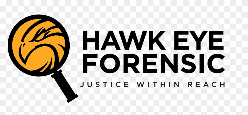 Hawkeye Clipart Hawk Eye - Png Download #4278292