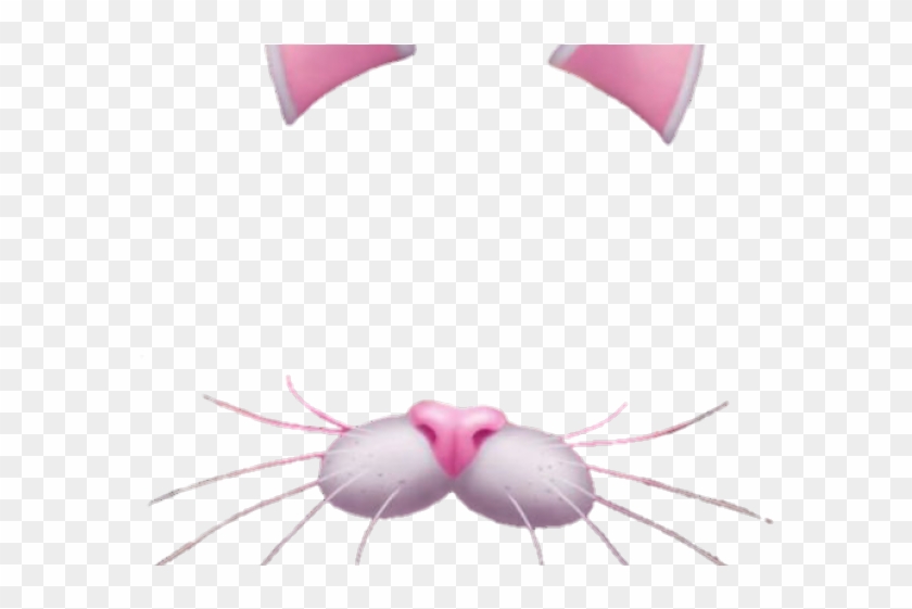 Snapchat Filters Clipart Snap Chat - Snapchat Cat Filter Png Transparent Png