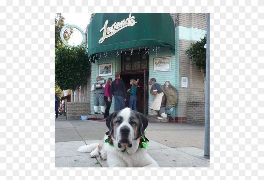 Giant Dog Breed Clipart #4280826