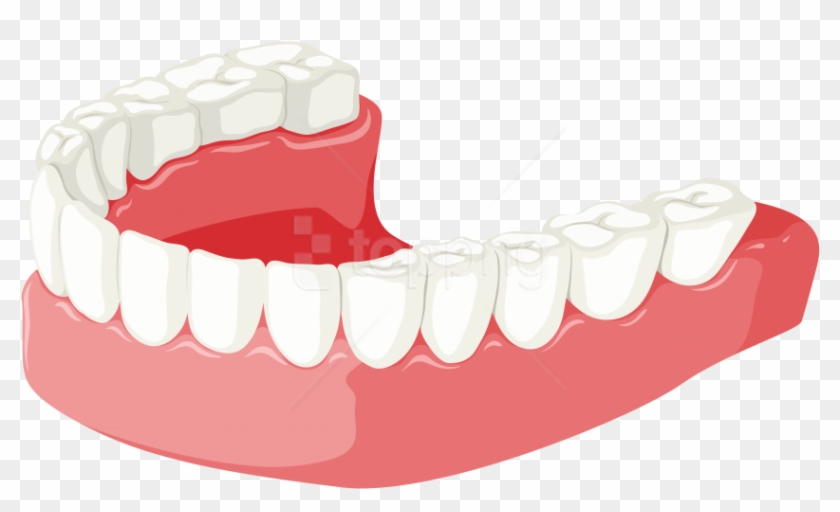 Free Png Download Lower Jaw Clipart Png Photo Png Images - Portable Network Graphics Transparent Png #4281119