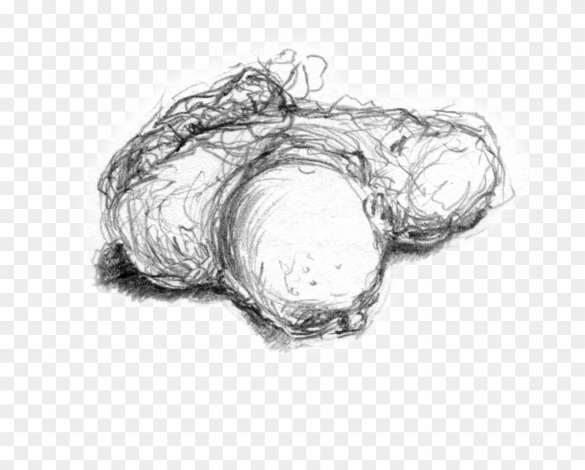 At A Dinner Celebrating His Victory, President Of The - Sketch Clipart #4282632