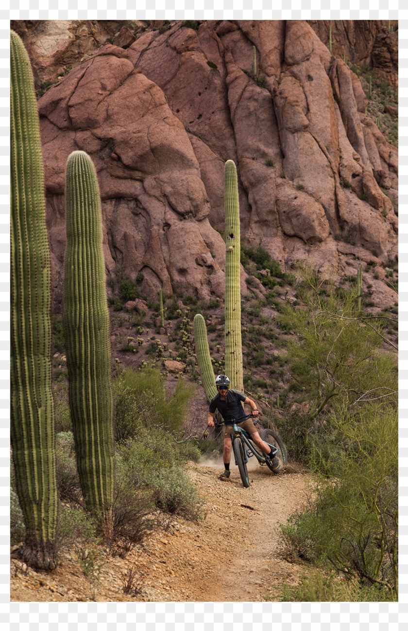 [show Thumbnails] Clipart