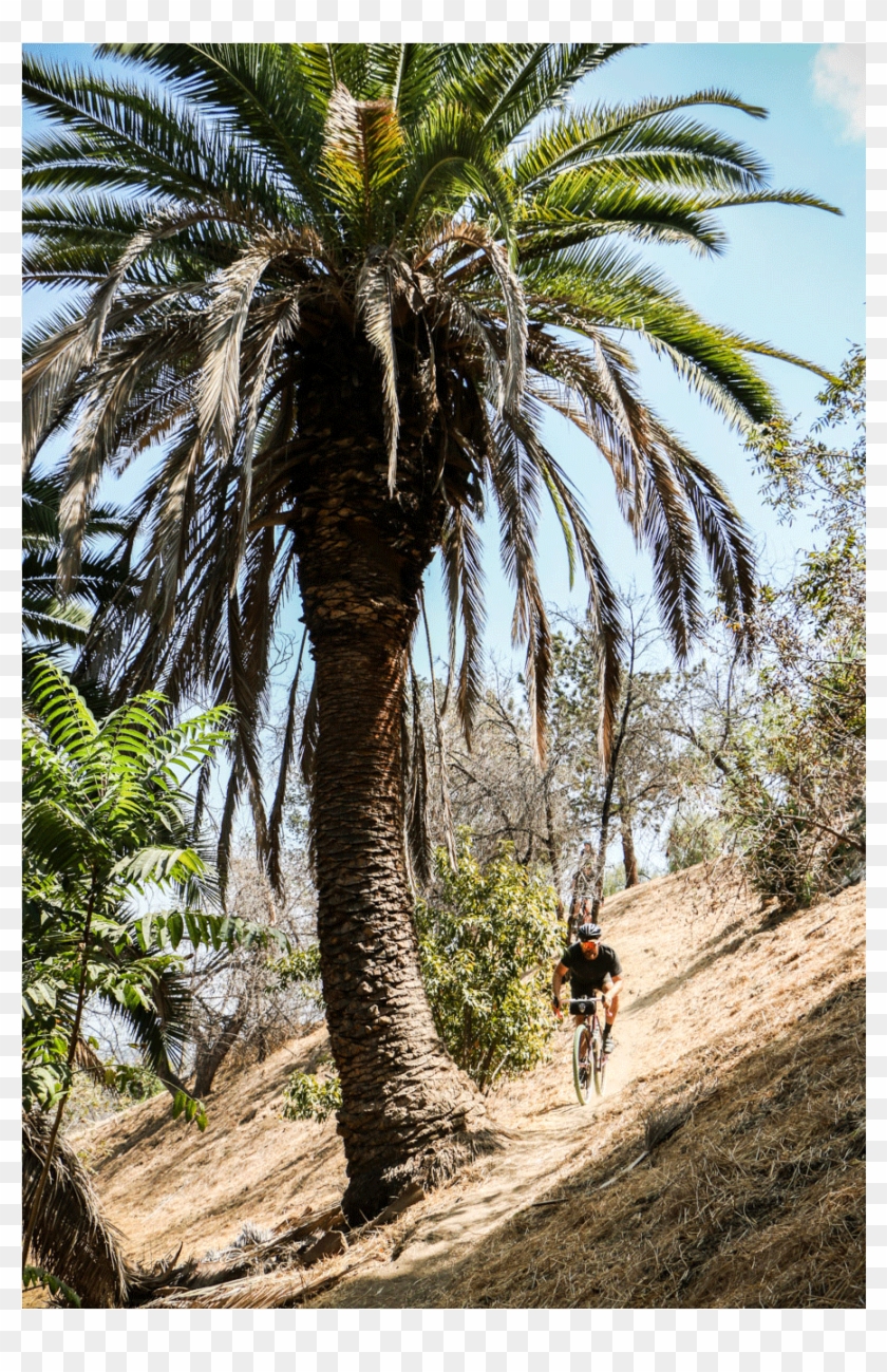 [show Thumbnails] Clipart