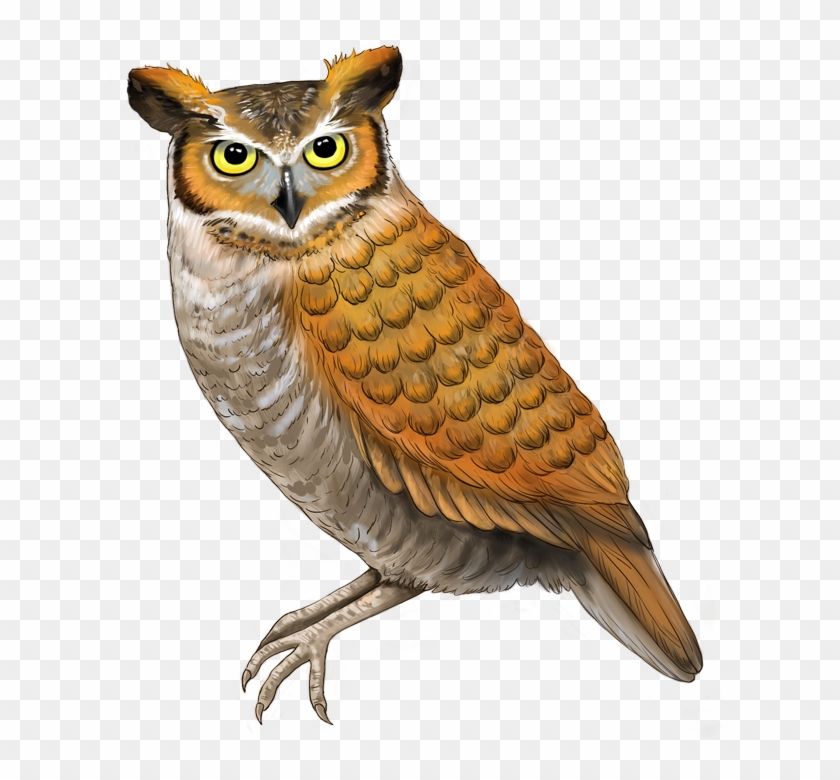 We're - Owl Emoji Transparent Clipart #4284346