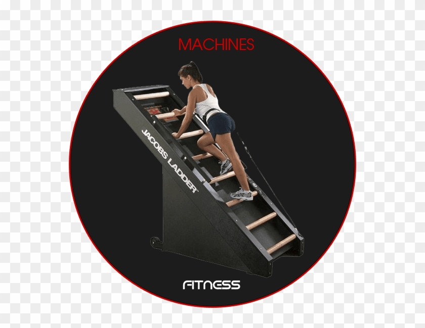 And That's Not All Recumbent As Well As Upright Bikes, - Jacob Ladder Gym Clipart