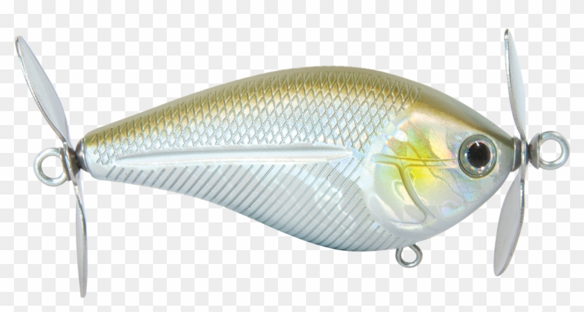 Spinmaster - Bait Fish Clipart #4286033