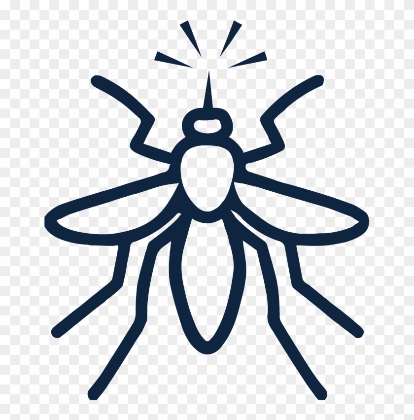 25 Pm 5239 Rabbit 12/10/2015 - World Malaria Day Gif Clipart