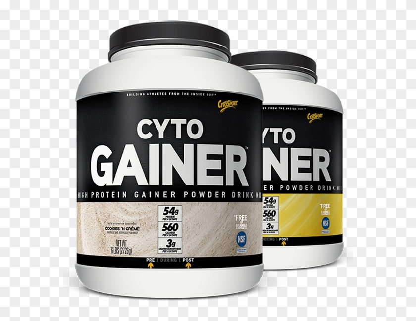 Ooops No Results Were Found - Cytogainer Review Clipart