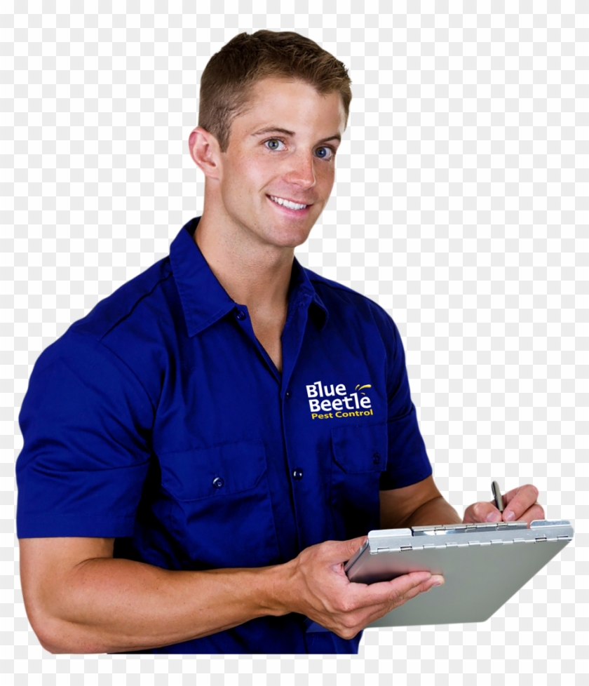 Bluebeetletec - Istock Pest Control Services Clipart