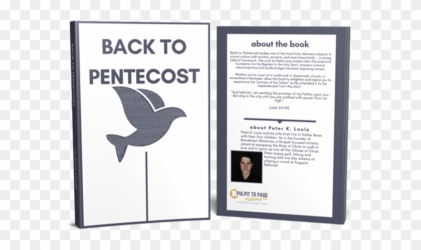 Back To Pentecost - Seabird Clipart