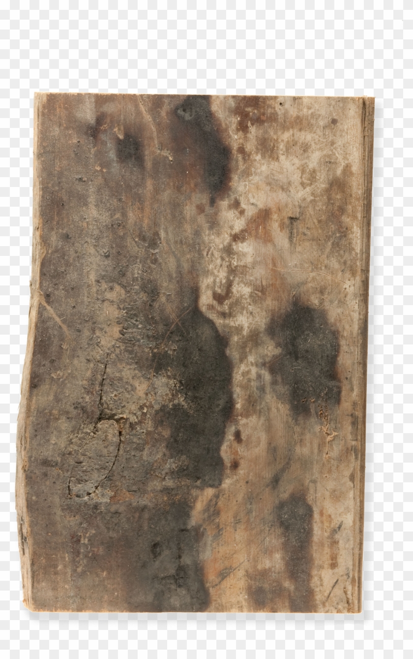 File - Ns-sjsanglican - Still Life Clipart