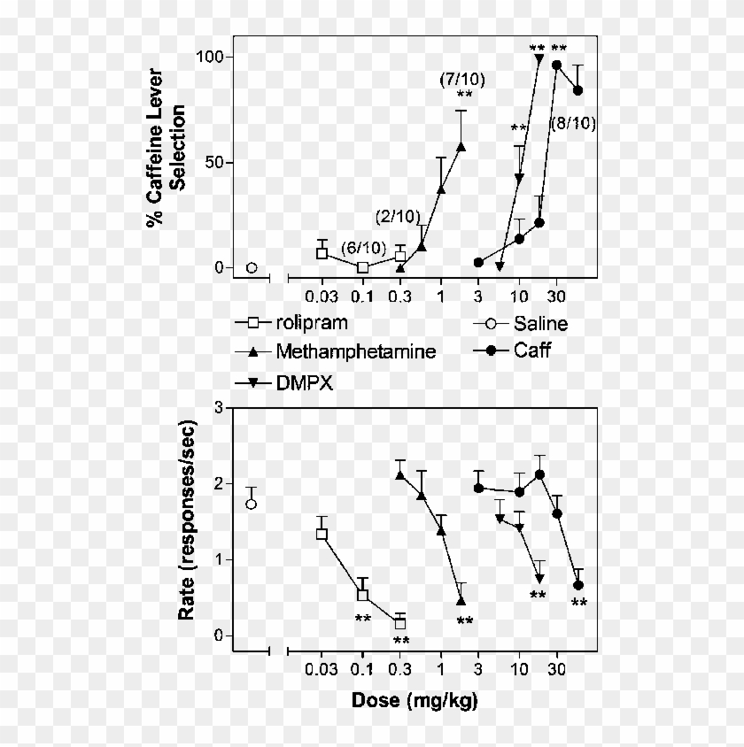 Effects Of Caffeine, The Non-selective Adenosine Receptor - Caffeine As Adenosine Receptor Antagonist Clipart