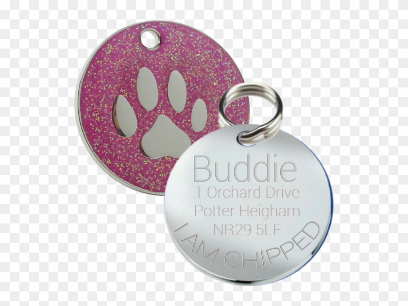 Id Tags For Dogs Png Clipart #4295848