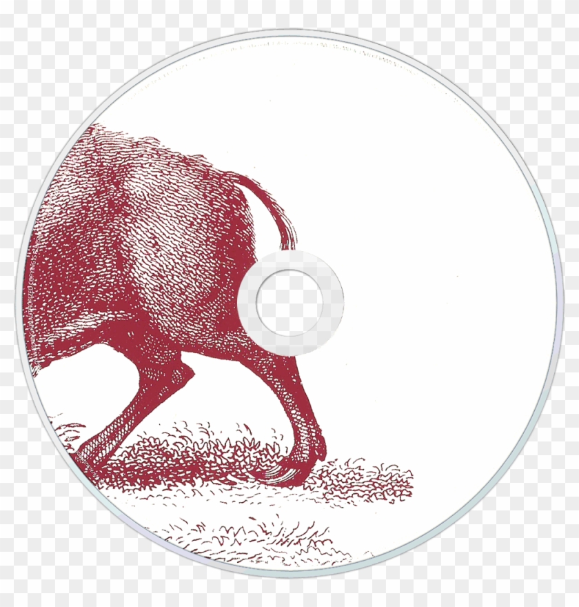 Share This - - Foo Fighters In Your Honor Clipart #4297930