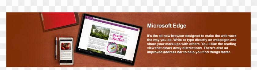 Ms Edge - Graphic Design Clipart