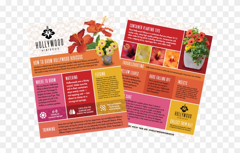 If You Don't See The Email With The Link, Please Check - Flyer Clipart