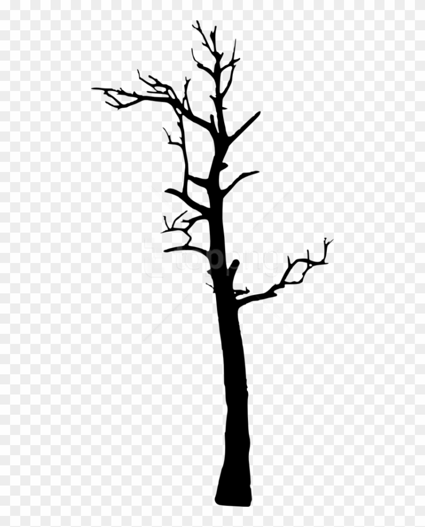 Free Png Dead Tree Silhouette Png Images Transparent - Portable Network Graphics Clipart