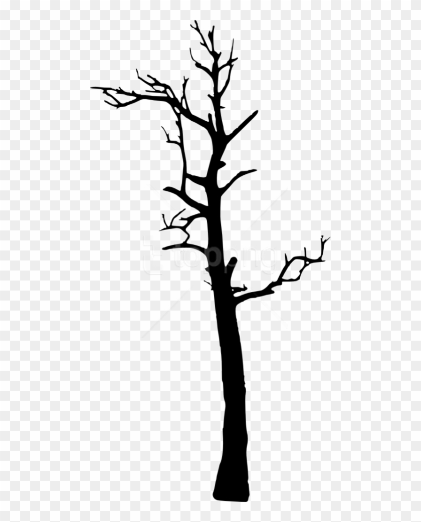 Free Png Dead Tree Silhouette Png Images Transparent - Portable Network Graphics Clipart #4299707