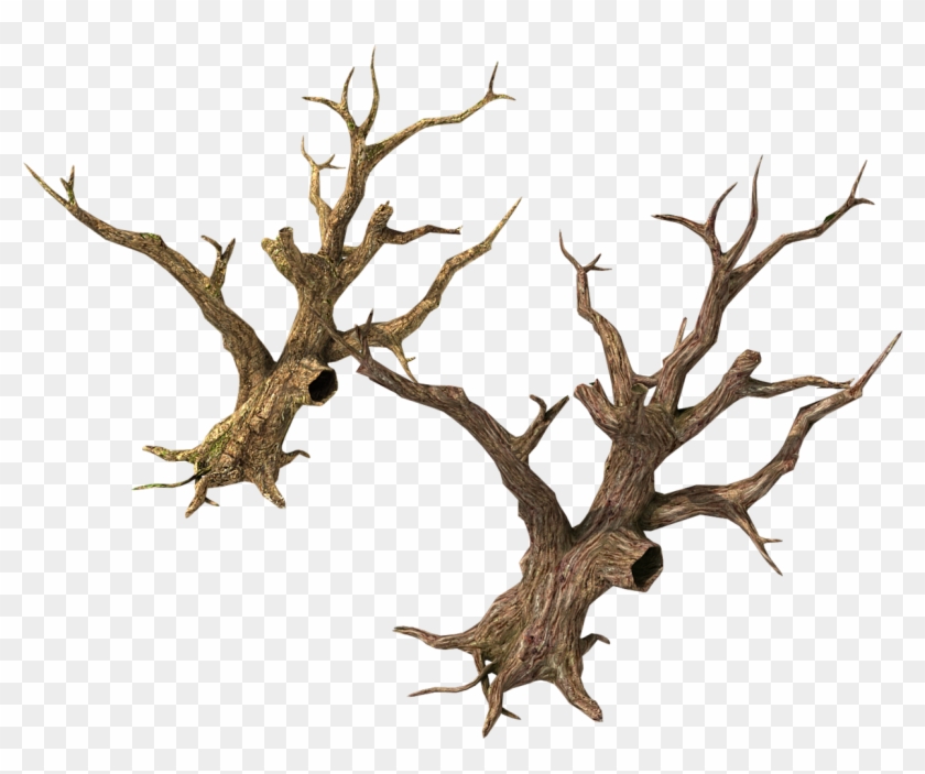 $18 - Driftwood Clipart #4299790