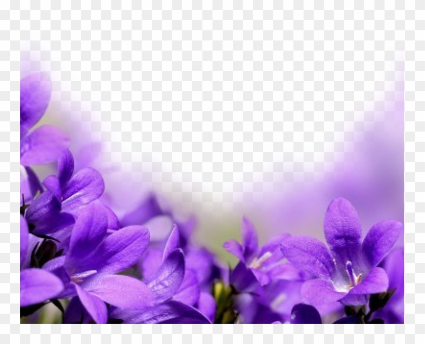 759 X 600 6 - Purple Flowers Borders Png Clipart #430453