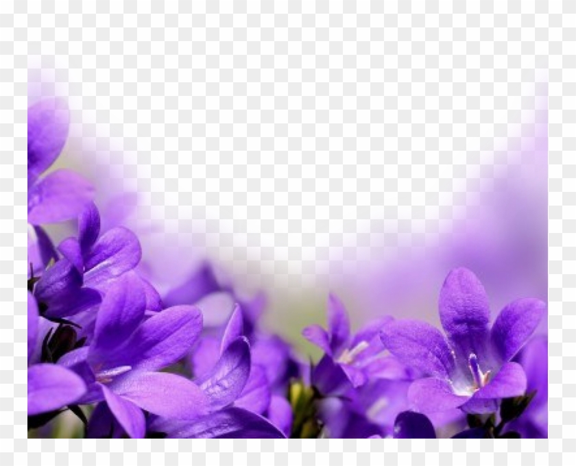 759 X 600 6 - Purple Flowers Borders Png Clipart