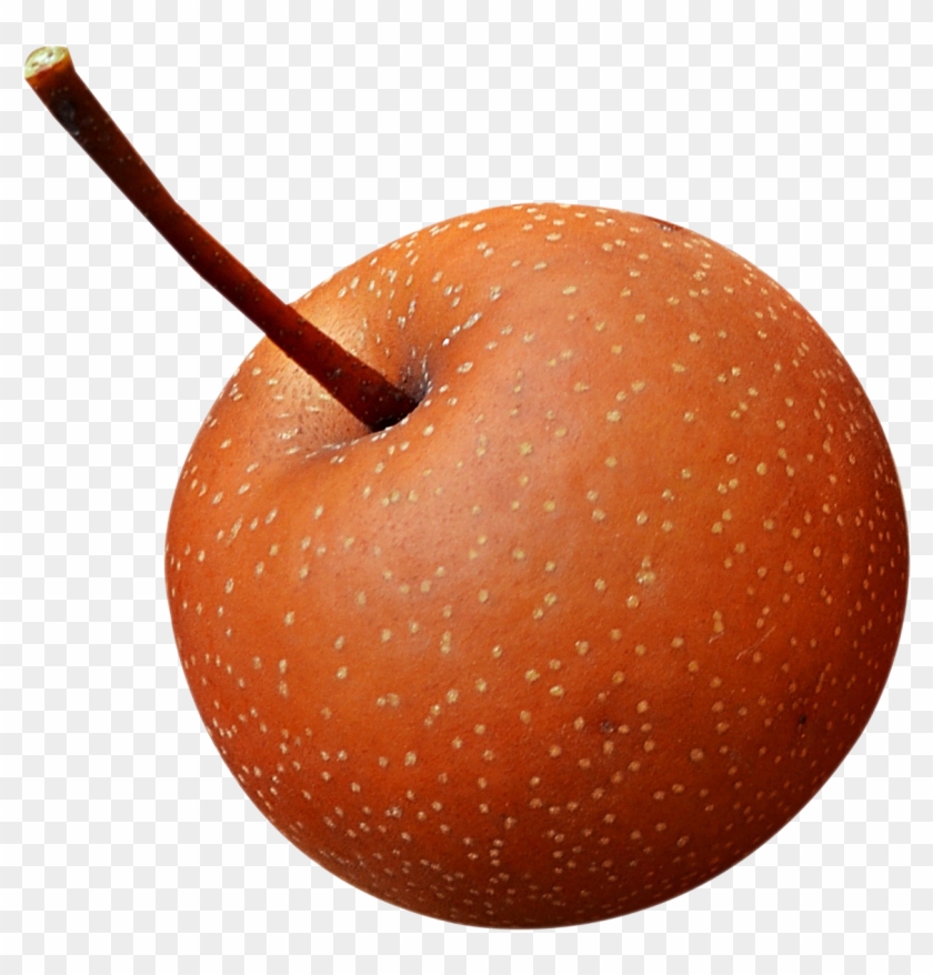 Download Fresh Asian Pear Png Image - Asian Pear Png Clipart #430520