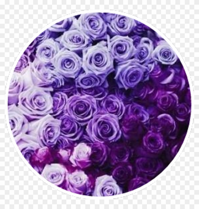Soft Purple Aesthetic Clipart