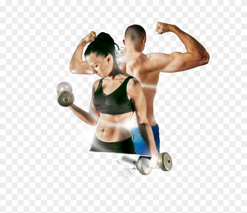 Tag Archives - Gym Workout Image Png Clipart #431650
