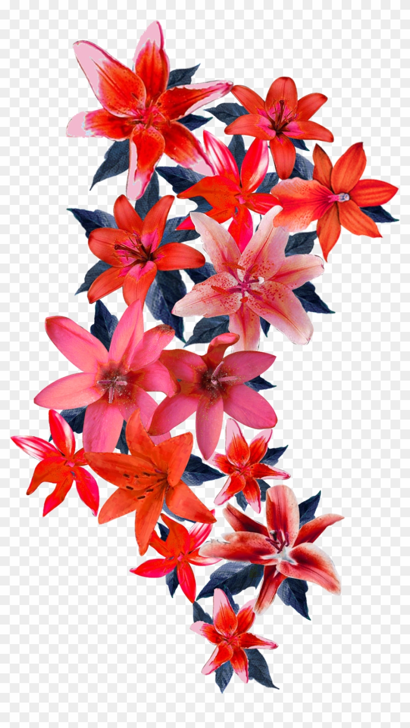 Vector,flower,vector Art,flower Vector,vector Flower - Fire-star Orchid Clipart