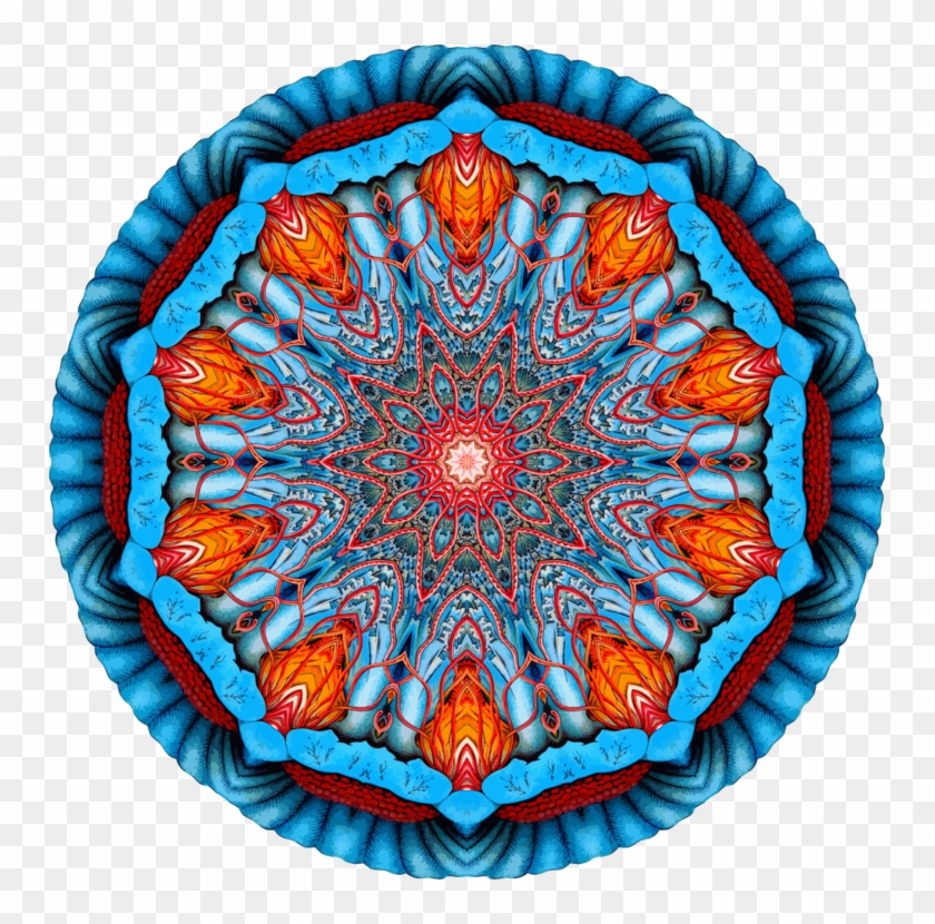 Computer Icons Jellyfish Symmetry Discomedusae Drawing - Plate Clipart #433492