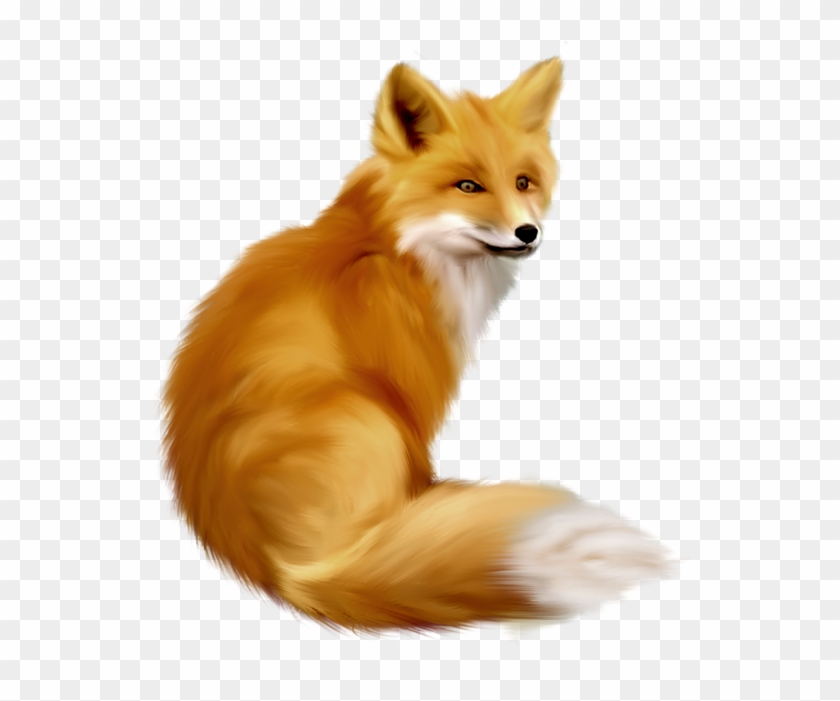 531 X 600 10 - Transparent Background Fox Png Clipart