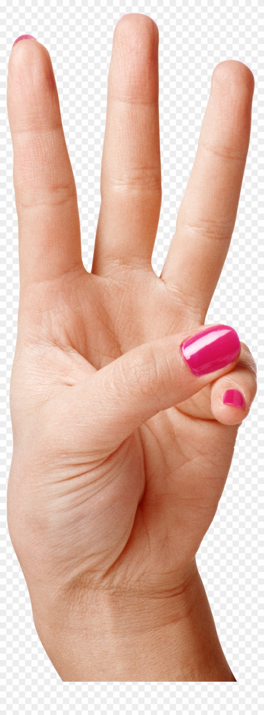 Graphic Black And White Download Hand Showing Fingers - Finger Clipart #433915