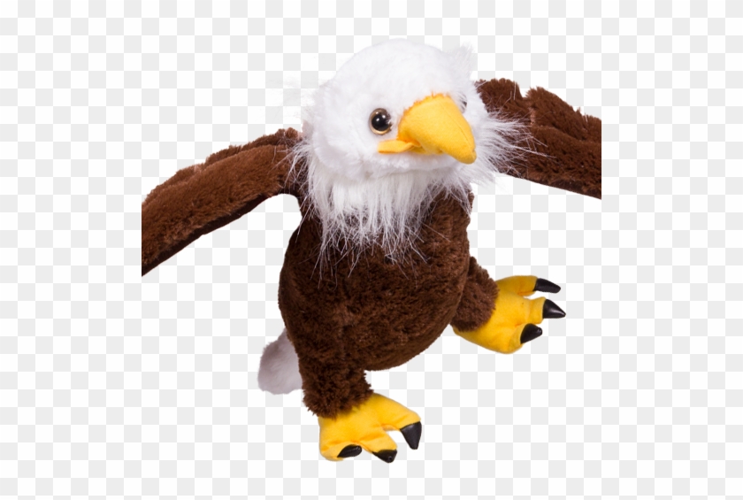 Bald Eagle Clipart #434699