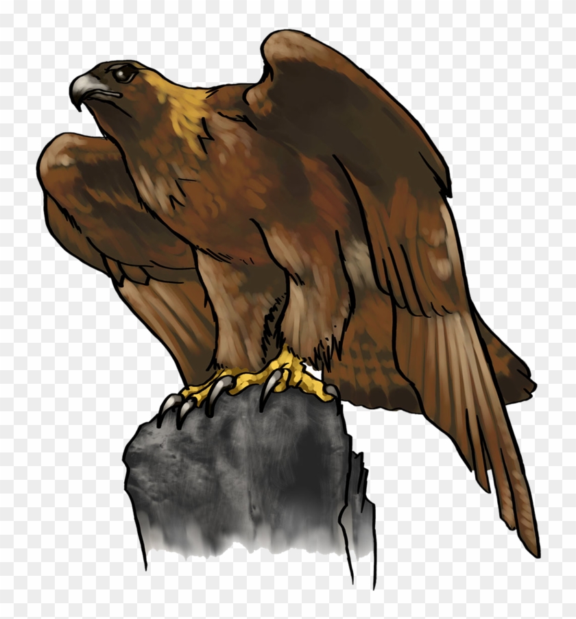 Eagle Png Photo Background - Golden Eagle Cartoon Clipart
