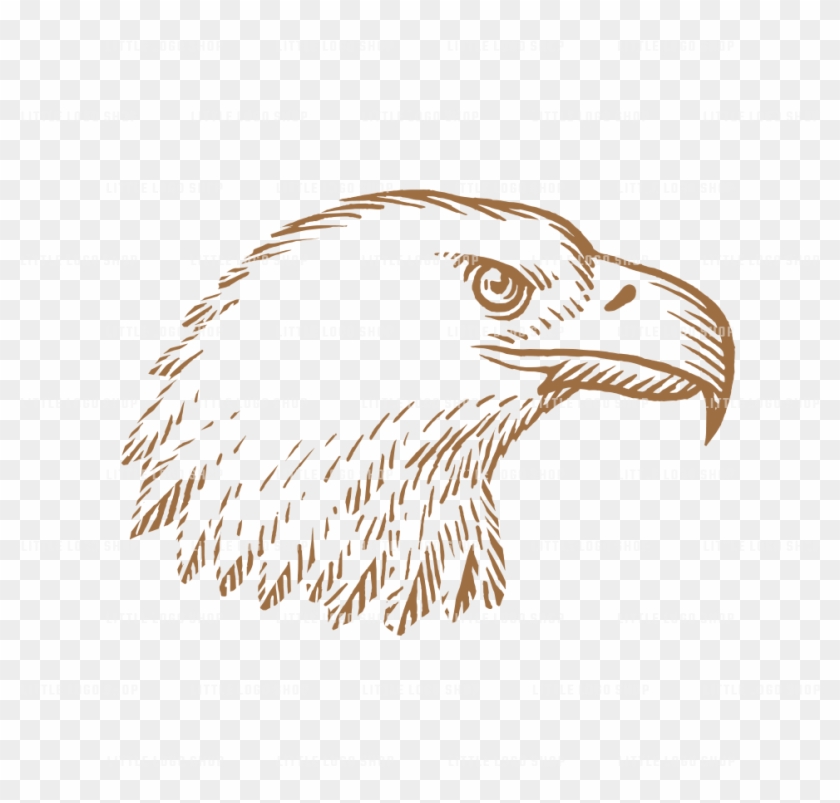 Bald Eagle Clipart