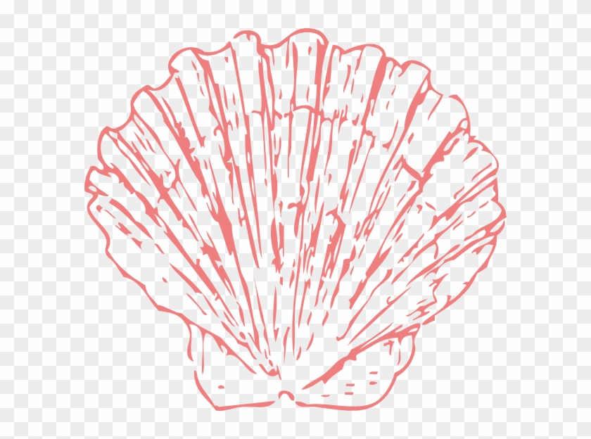 Clipart Seashell Png Transparent Png #434975