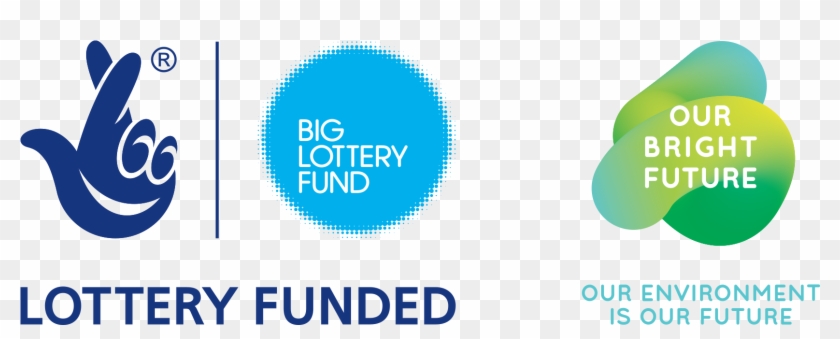 Primary Horiz Rgb-768x309 - Our Bright Future Lottery Fund Clipart #435012