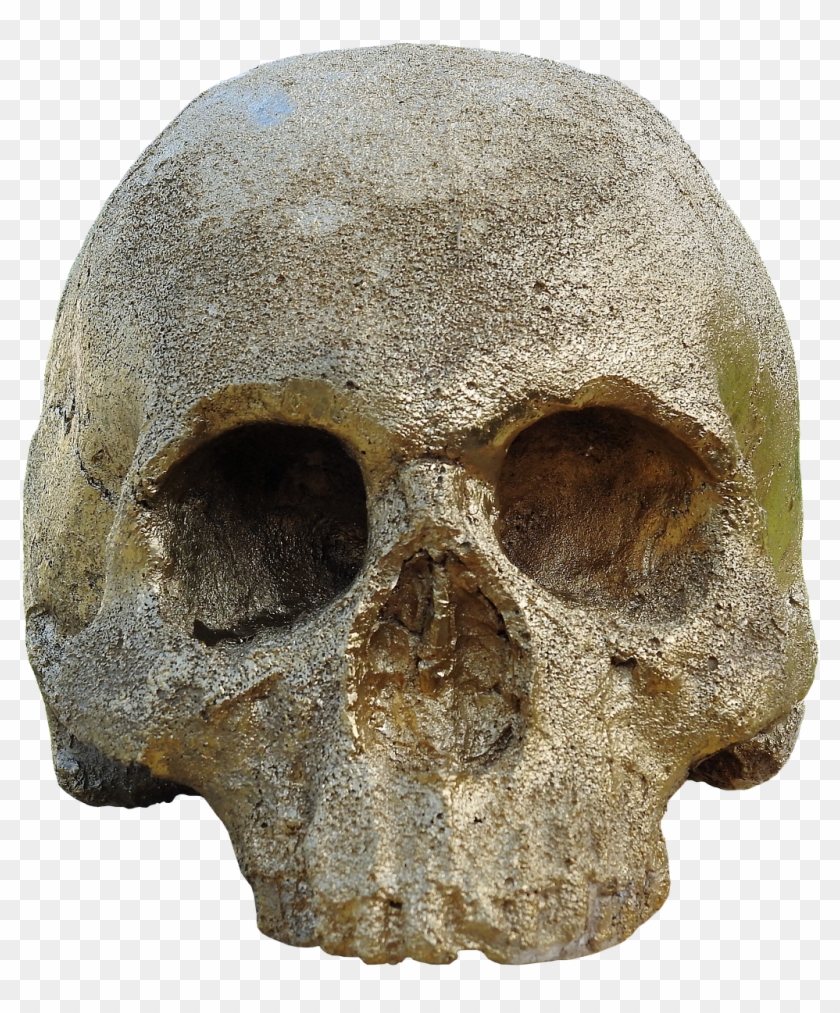 Skull And Crossbones, Golden Skull, Skull, Shiny - Skull Clipart #435997